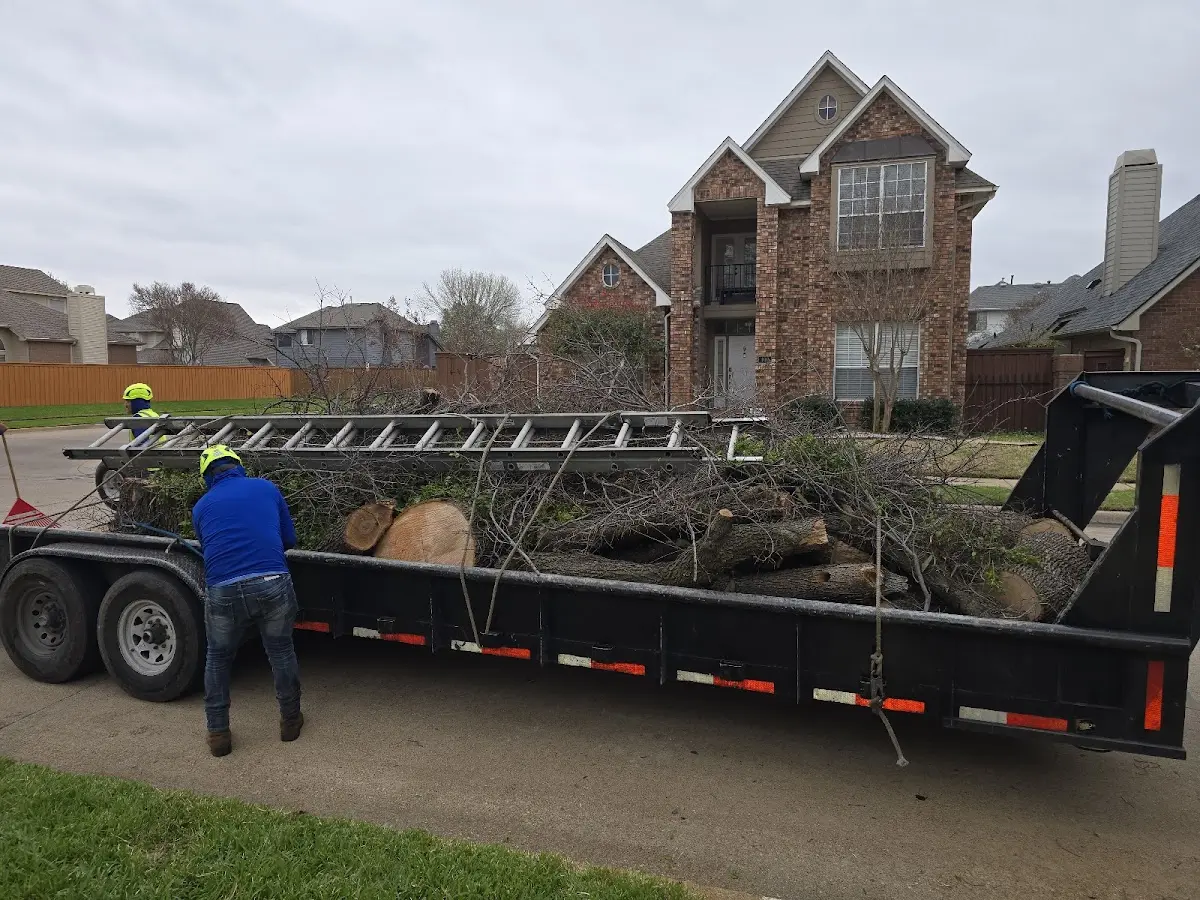 Expert Tree Removal with proper safety equipment in Joint Base Mdl